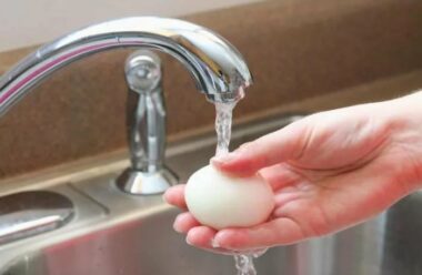 Чому забороняється мити курячі яйця? Це корисно знати.