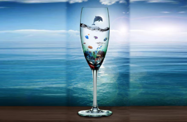 Бути склянкою чи морем: притча про вибір, який доводиться робити кожному