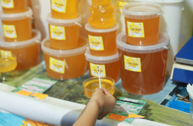 Корисні поради: як правильно вибрати мед: де і як його зберігати