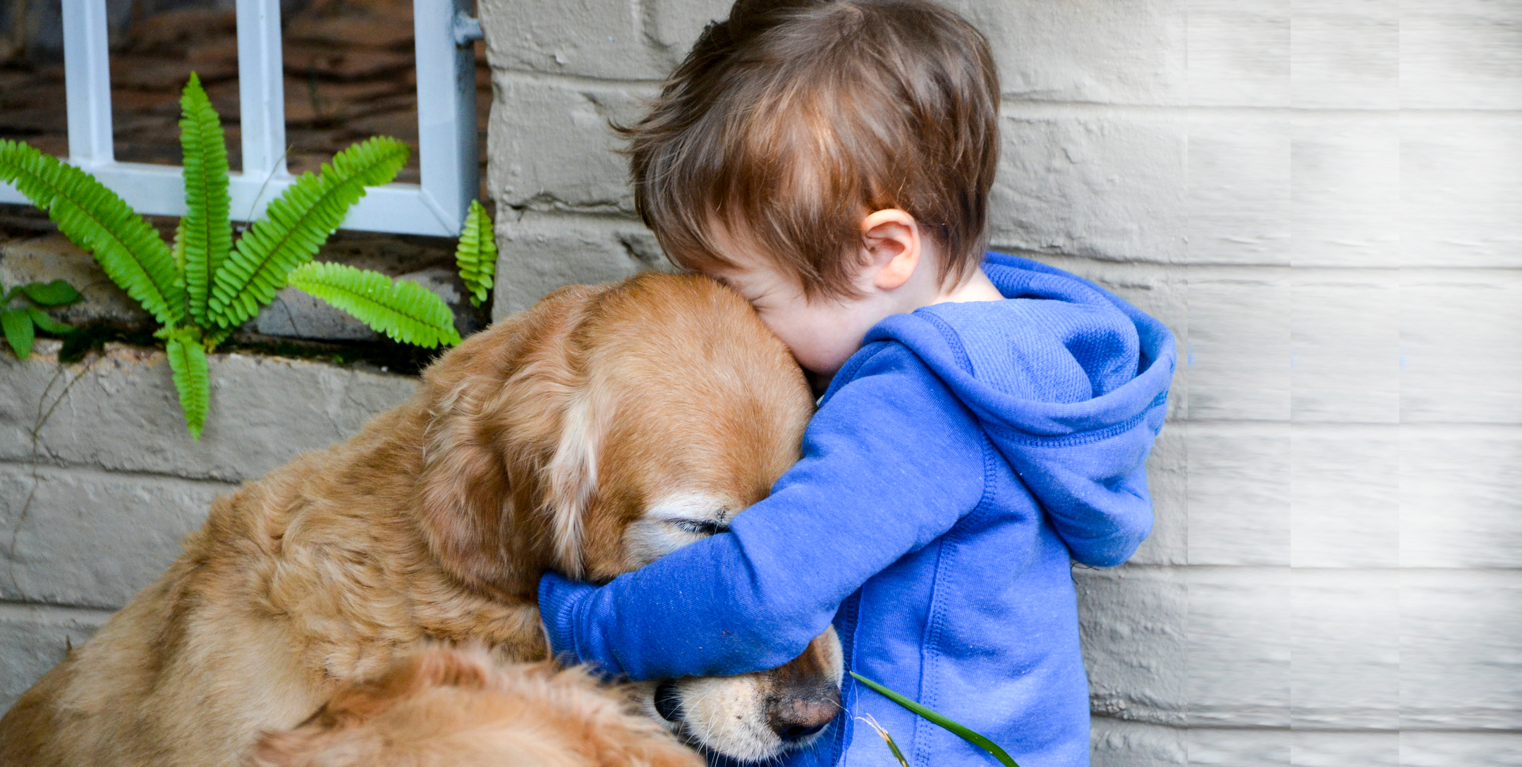 Без сочувствие. Для детей. Животные. Ребенок обнимает собаку. Любовь к животным. Мальчик обнимает щенка.