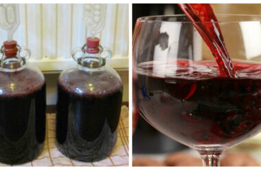 Чудове вино з винограду в домашніх умовах. Покроковий рецепт приготування.