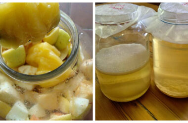 Домашній яблучний оцет — натуральний продукт для салатів і здоров’я