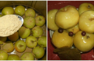 Квашені яблука на зиму. Рецепт дуже простий і всі вітаміни будуть збережені