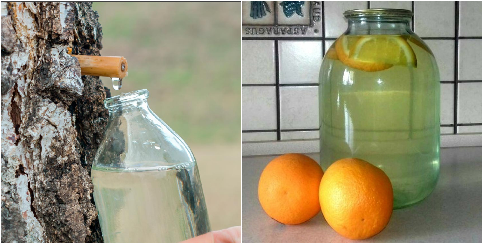 Сок березовый с лимоном на 3 литровую. Березовый сок с апельсином. Березовый сок с лимоном. Березовый сок с апельсином и лимоном. Вино из берёзового сока – Эрех.
