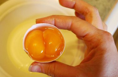 Два жовтки в яйці. Про що це свідчить, та чи можна їх їсти
