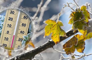 Синоптики попередили про сильні морози, які ідуть в Україну. В яких регіонах буде найхолодніше