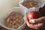 Що покласти поруч з картоплею, щоб зберігалася всю зиму та не проросла