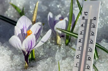 Різке потепління по всій Україні найближчими днями. Весна прийшла раніше ніж ми думали