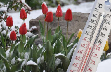 В Україні різко похолодає: синоптики попередили про заморозки і мокрий сніг