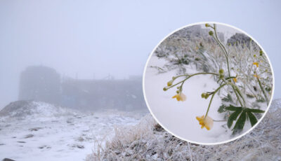 В Україну прийшла зима. Випав перший сніг та вдарив мороз. Де саме це сталося, та чого чекати дальше