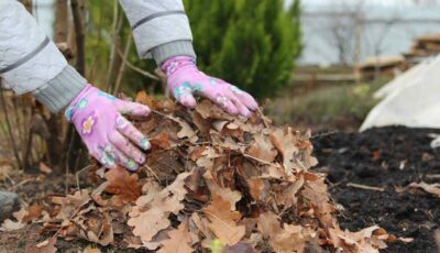 Що робити з опалим листям, щоб воно принесло користь. Дієві поради