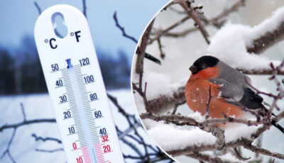 В Україні прийде суттєве похолодання зі снігопадами та морозами до -20 градусів. Синоптики дали детальний прогноз