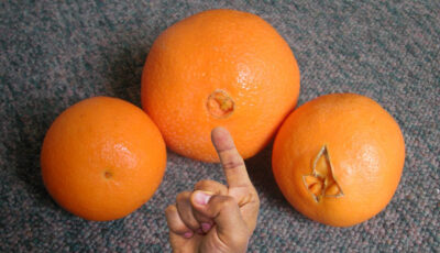 Дві головні ознаки найсоковитіших апельсинів. Завжди звертайте увагу на це перед покупкою