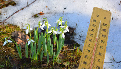 Якої погоди слід чекати усім українцям у березні. Синоптики дали гарний прогноз