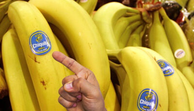 Що значать наклейки на бананах, та чому слід звертати увагу на них при купівлі