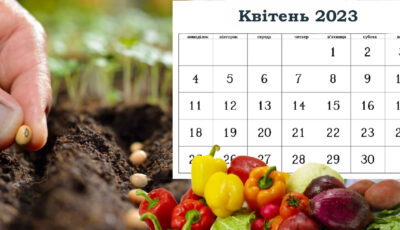 Детальний посівний календар на квітень 2023. Сприятливі дні, для великого врожаю