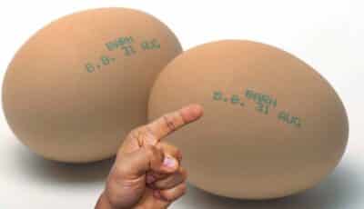 Навіщо ставлять позначки на яйцях та що вони означають. Завжди звертайте на них увагу
