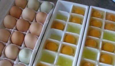 Навіщо, та як правильно заморожувати яйця. Господиням на замітку