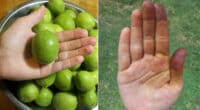 5 швидких способів, які допоможуть відмити руки від горіхів. Не залишиться й сліду