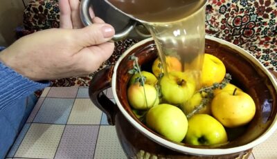 Будете «мочити» відрами: новий рецепт консервації яблук на зиму
