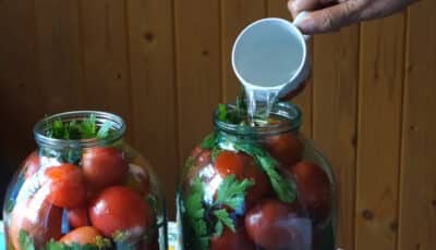 Яким розсолом заливати помідори, щоб були смачні, ароматні та довго зберігалися
