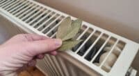 Навіщо розкладати лаврове листя на батареї, та яких проблем це допомагає позбутися в домі