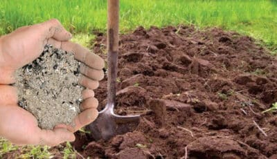 Що потрібно внести в землю під час перекопування городу, щоб покращити родючість ґрунту