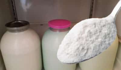 Що покласти в молоко, щоб воно тижнями було свіжим та не скисало