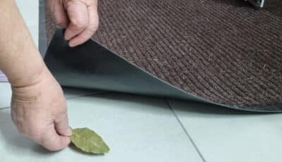 Навіщо класти лавровий лист під придверний килимок, та яких проблем він допомагає позбутися