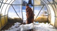 Câtă zăpadă trebuie turnată în seră și când să o faci: sfaturi pentru grădinari