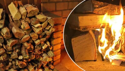 Якими дровами не варто палити в печі: погано горять забивають димохід та виділяють мало тепла
