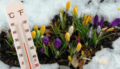 Весна прийде раніше, ніж на неї чекали. В Україну іде різке потепління до +20