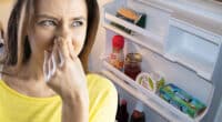 Як видалити неприємний запах з холодильника. Швидкий та дієвий спосіб