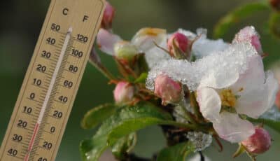 Сильні заморозки ідуть в Україну: синоптики розповіли, де буде найхолодніше